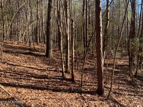 Tiny photo for 3 Lone Wolf Trail, Spencer, TN 38585 (MLS # 1327673)