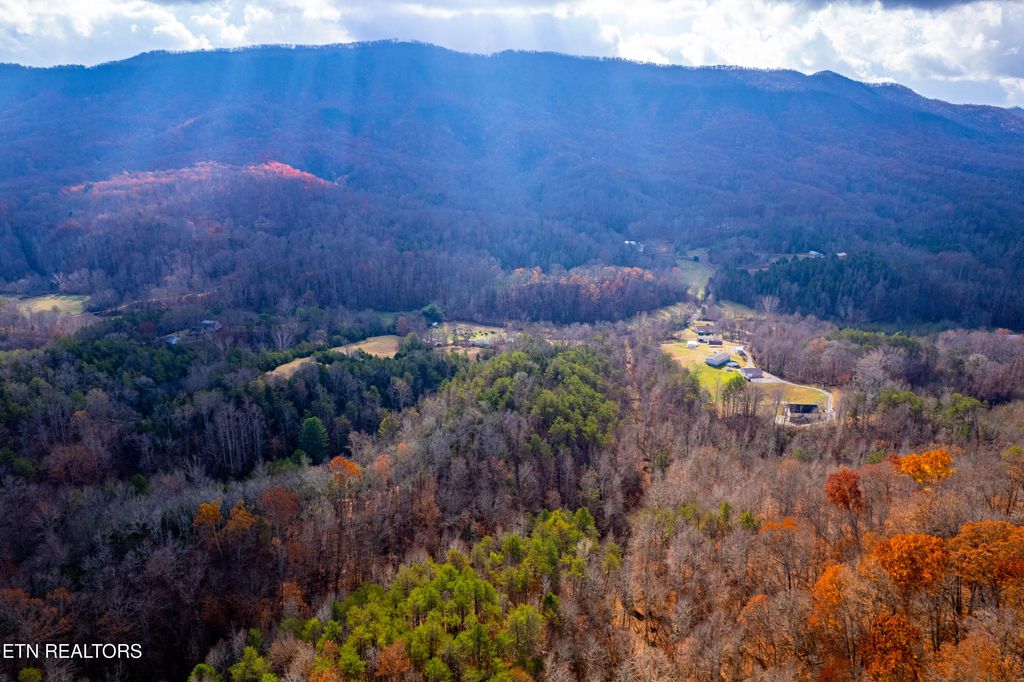 Photo of 1858 Old Chilhowee Rd, Seymour, TN 37865 (MLS # 1322866)