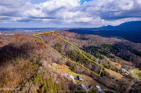 Photo of 1858 Old Chilhowee Rd, Seymour, TN 37865 (MLS # 1322866)