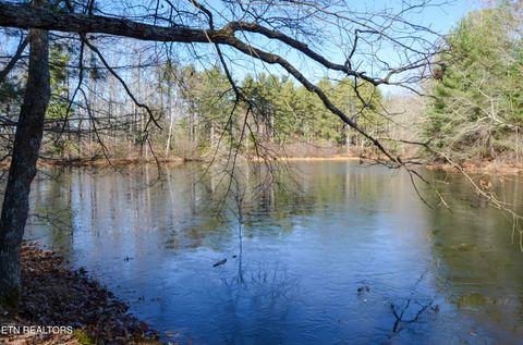 Sparta Hwy 63.3 Acres Crossville TN 38555