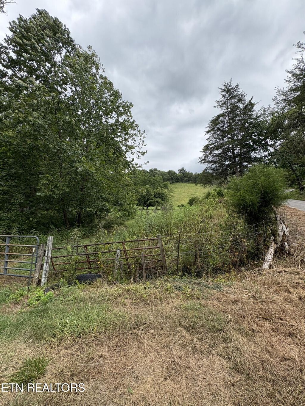 Photo of Buchanan Ridge Rd, Tazewell, TN 37879 (MLS # 1313357)