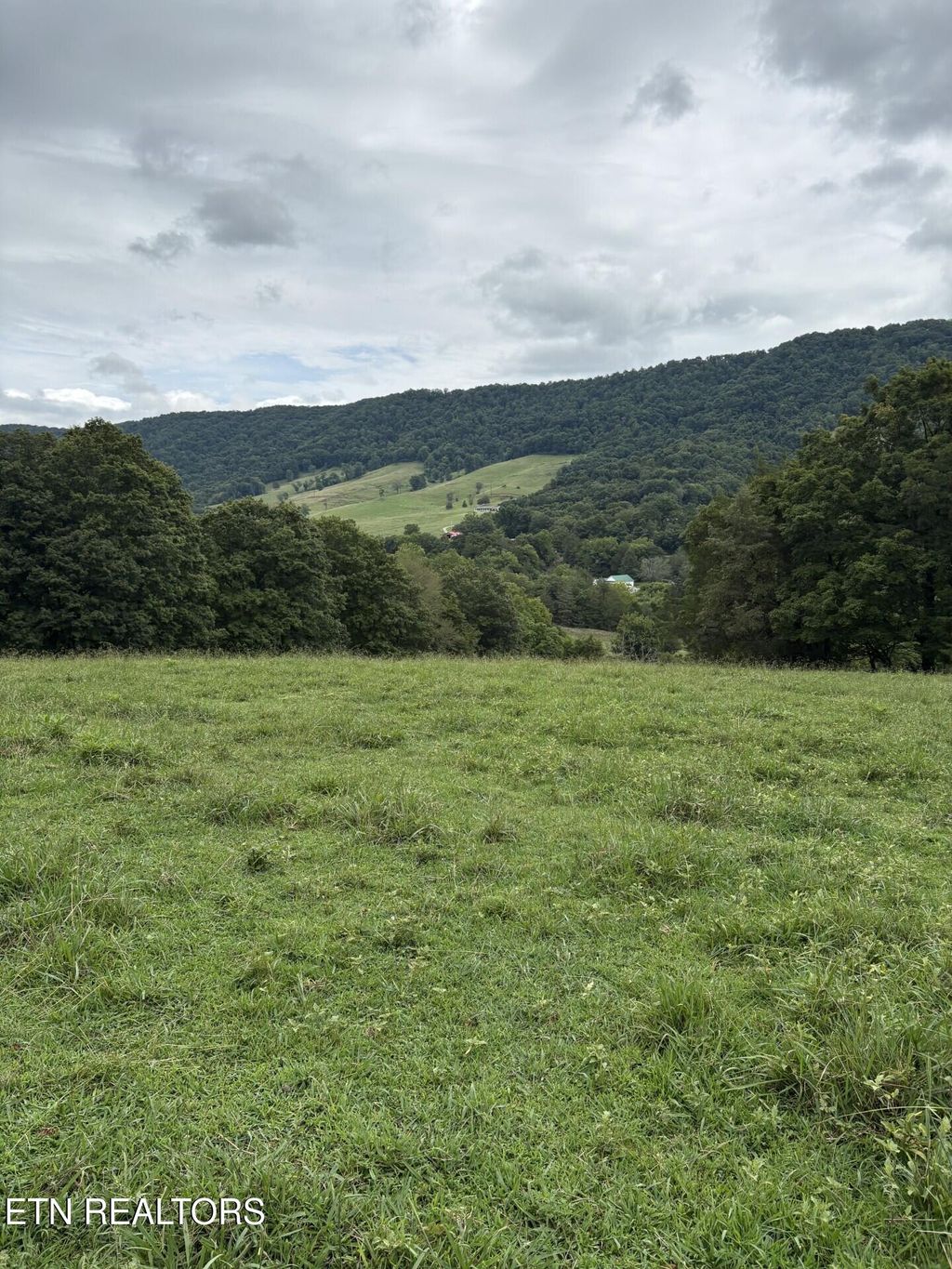 Photo of Buchanan Ridge Rd, Tazewell, TN 37879 (MLS # 1313357)