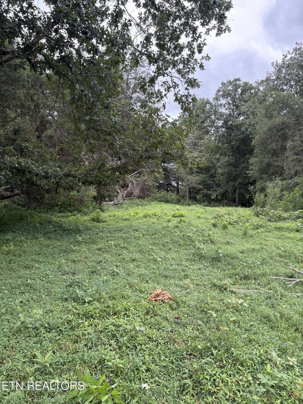 Photo of Buchanan Ridge Rd, Tazewell, TN 37879 (MLS # 1313357)
