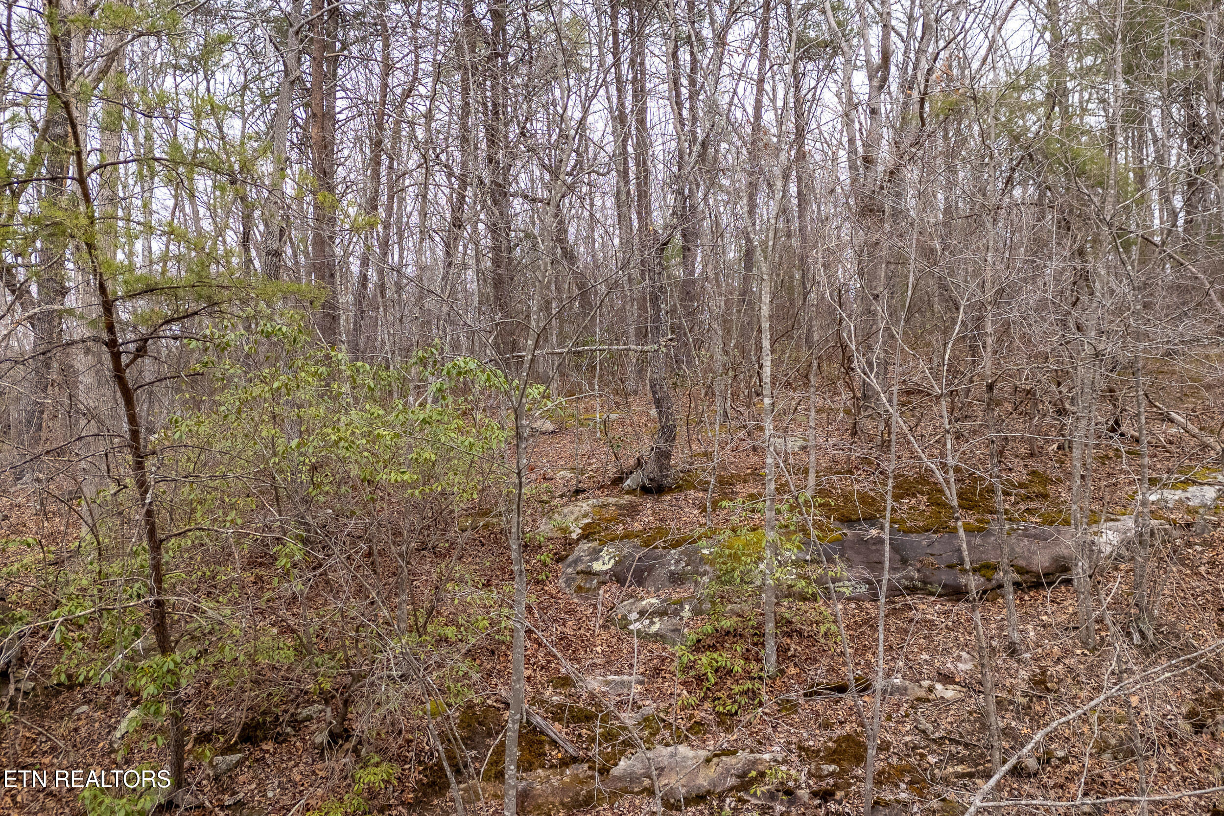 106 Warrington Rd