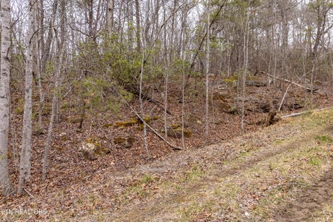 Tiny photo for 106 Warrington Rd, Crossville, TN 38558 (MLS # 1357669)