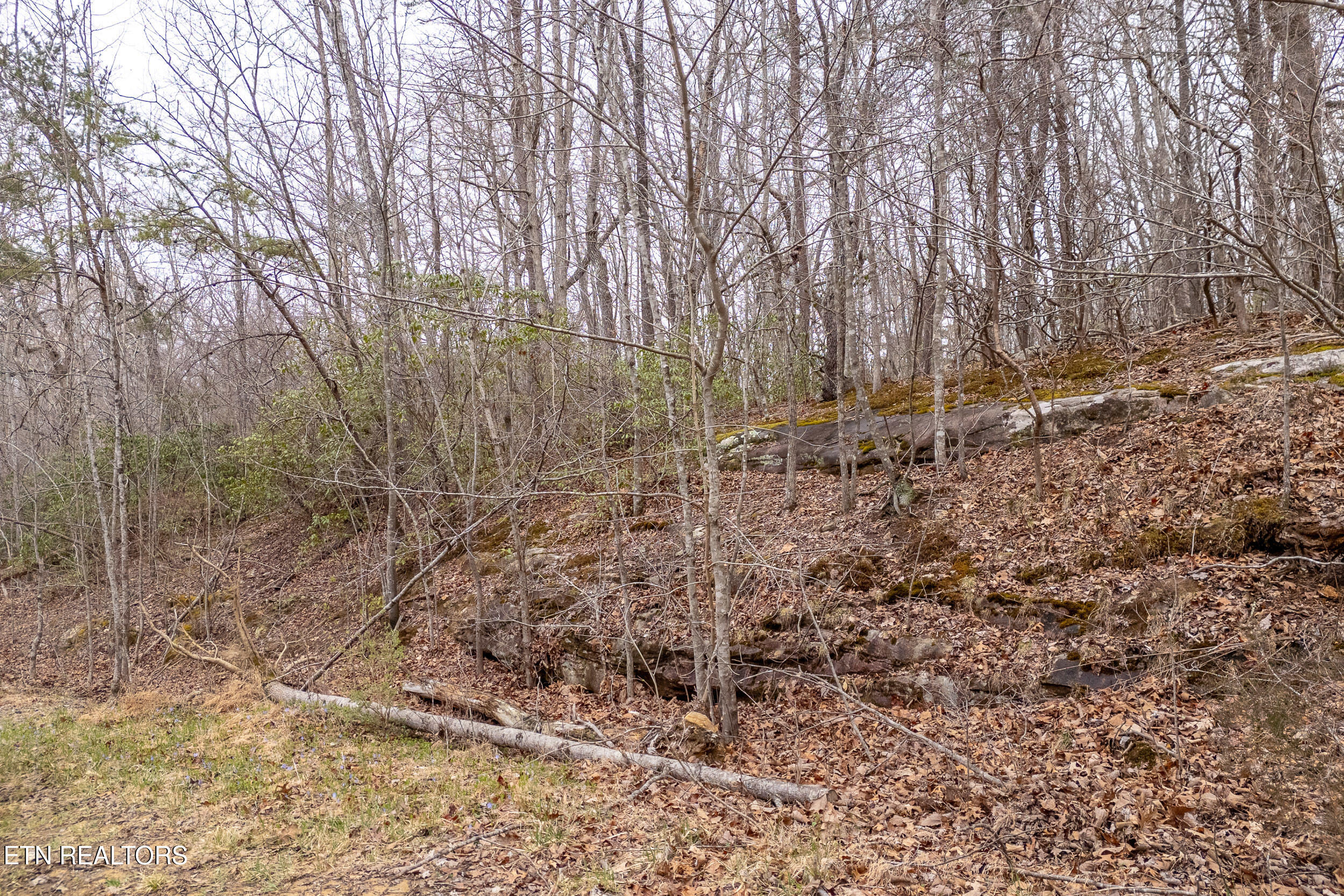 106 Warrington Rd