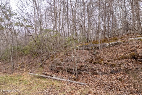 Tiny photo for 106 Warrington Rd, Crossville, TN 38558 (MLS # 1357669)