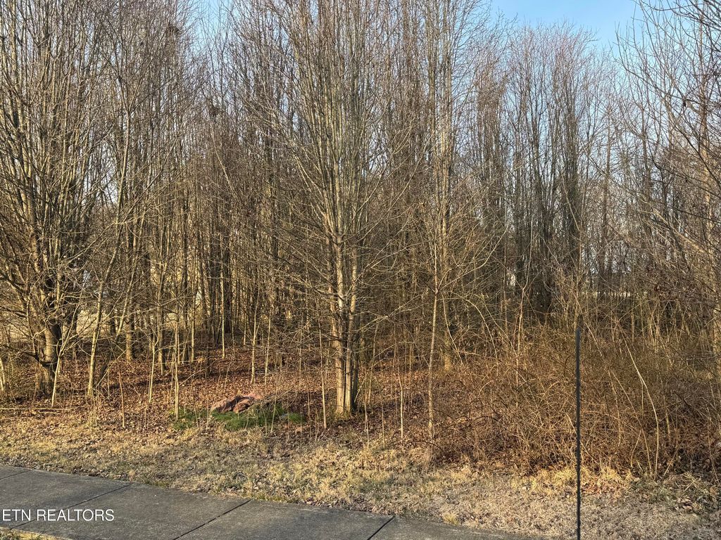 Photo of 209 Babcock St, Tellico Plains, TN 37385 (MLS # 1327143)