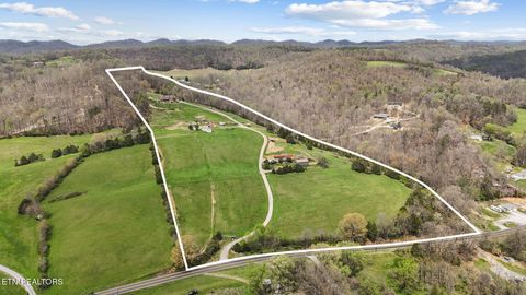 Tiny photo for 741 Clinch Valley Rd, Powder Springs, TN 37848 (MLS # 1335692)