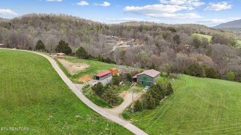 Tiny photo for 741 Clinch Valley Rd, Powder Springs, TN 37848 (MLS # 1335692)