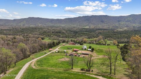 Tiny photo for 741 Clinch Valley Rd, Powder Springs, TN 37848 (MLS # 1335692)