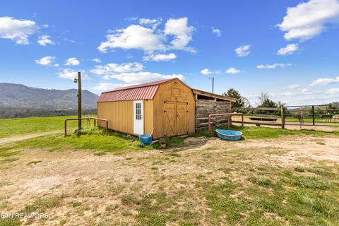 Tiny photo for 741 Clinch Valley Rd, Powder Springs, TN 37848 (MLS # 1335692)