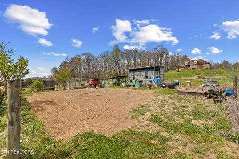 Tiny photo for 741 Clinch Valley Rd, Powder Springs, TN 37848 (MLS # 1335692)
