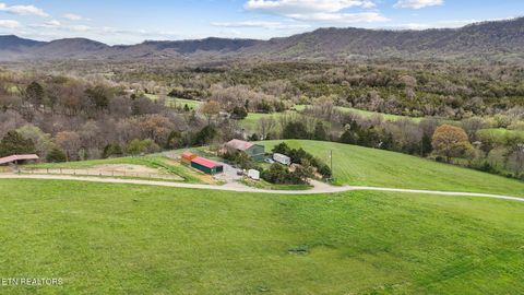 Tiny photo for 741 Clinch Valley Rd, Powder Springs, TN 37848 (MLS # 1335692)