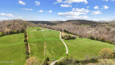 Tiny photo for 741 Clinch Valley Rd, Powder Springs, TN 37848 (MLS # 1335692)