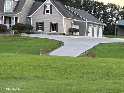 Tiny photo for 307 Idlewild Drive, White Pine, TN 37890 (MLS # 1323165)