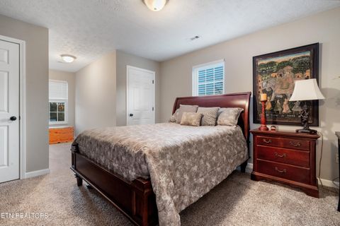 Tiny photo for 307 Idlewild Drive, White Pine, TN 37890 (MLS # 1323165)