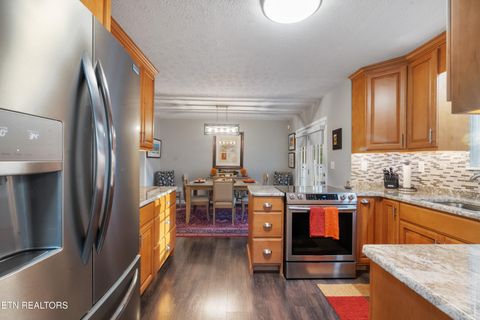 Tiny photo for 307 Idlewild Drive, White Pine, TN 37890 (MLS # 1323165)