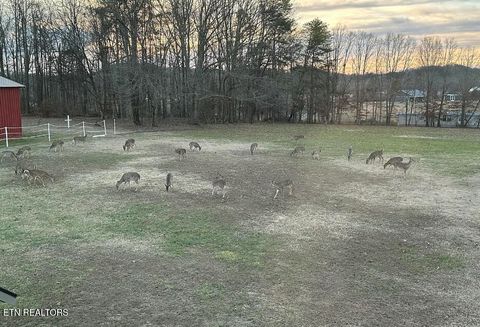 Tiny photo for 307 Idlewild Drive, White Pine, TN 37890 (MLS # 1323165)