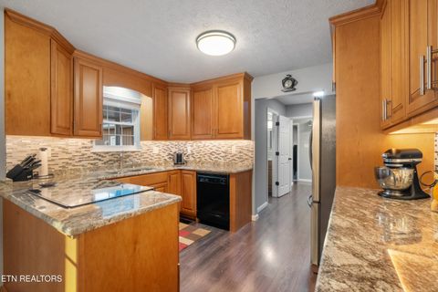 Tiny photo for 307 Idlewild Drive, White Pine, TN 37890 (MLS # 1323165)