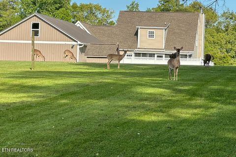 Tiny photo for 307 Idlewild Drive, White Pine, TN 37890 (MLS # 1323165)