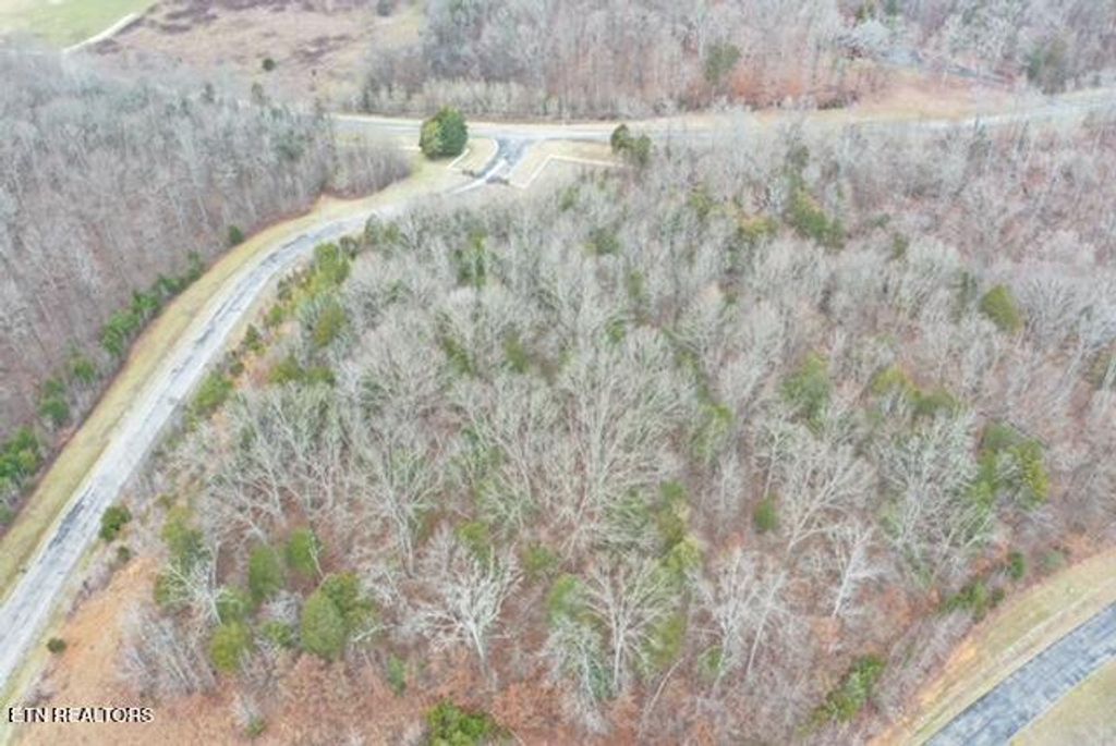 Photo of Ridge Top Drive, Rockwood, TN 37854 (MLS # 1289631)