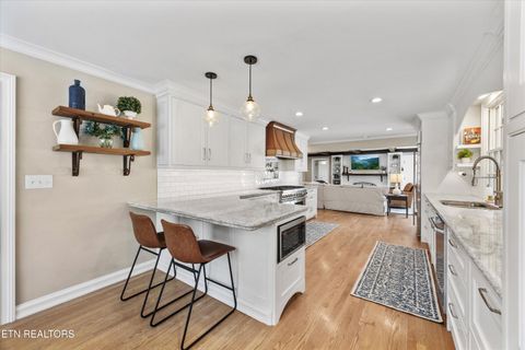 Tiny photo for 547 Cherokee Blvd, Knoxville, TN 37919 (MLS # 1310812)