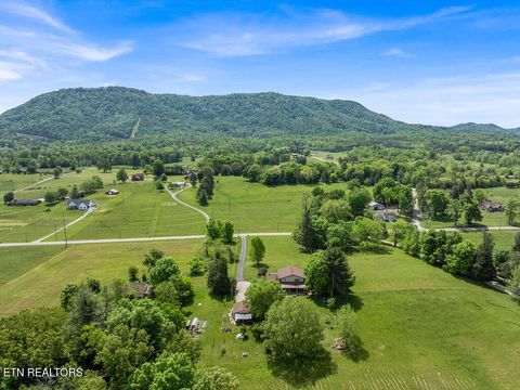 Tiny photo for 9111 Washington Pike, Corryton, TN 37721 (MLS # 1338744)