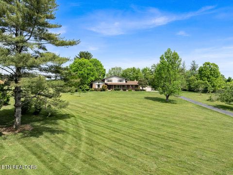 Tiny photo for 9111 Washington Pike, Corryton, TN 37721 (MLS # 1338744)