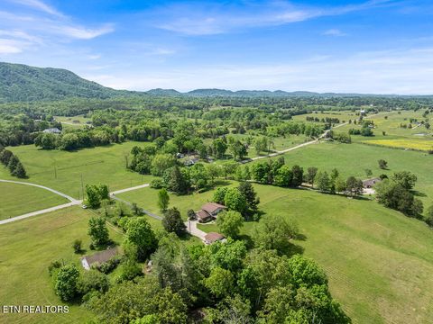 Tiny photo for 9111 Washington Pike, Corryton, TN 37721 (MLS # 1338744)