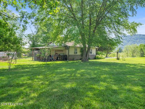 Tiny photo for 9111 Washington Pike, Corryton, TN 37721 (MLS # 1338744)