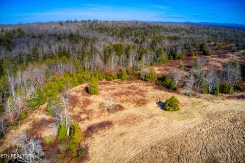 Tiny photo for Ernie Hurst Rd, Deer Lodge, TN 37726 (MLS # 1329006)
