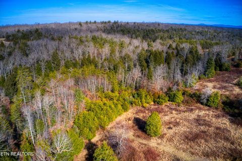 Tiny photo for Ernie Hurst Rd, Deer Lodge, TN 37726 (MLS # 1329006)