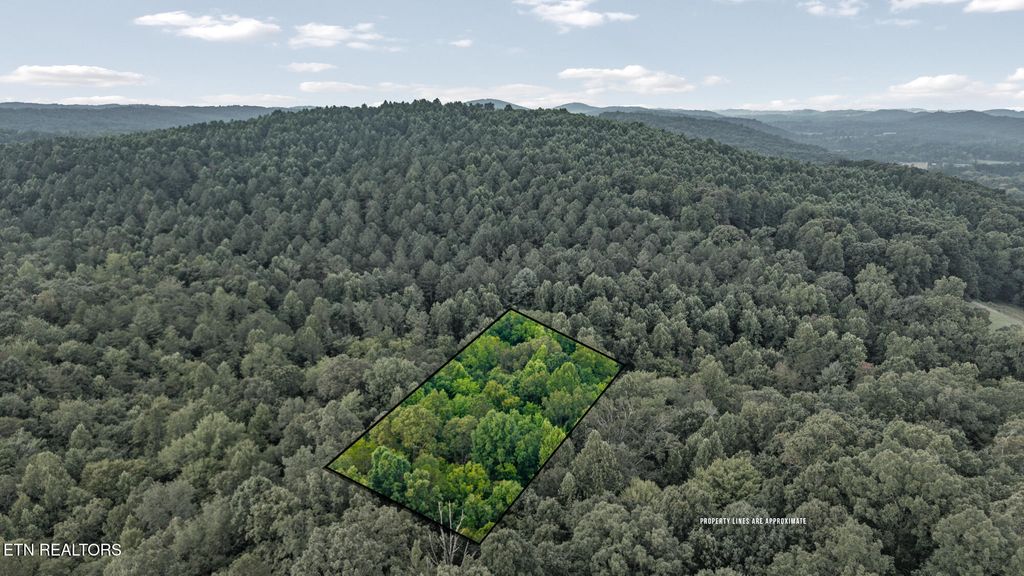 Photo of 506 Butler Rd, Decatur, TN 37322 (MLS # 1311702)