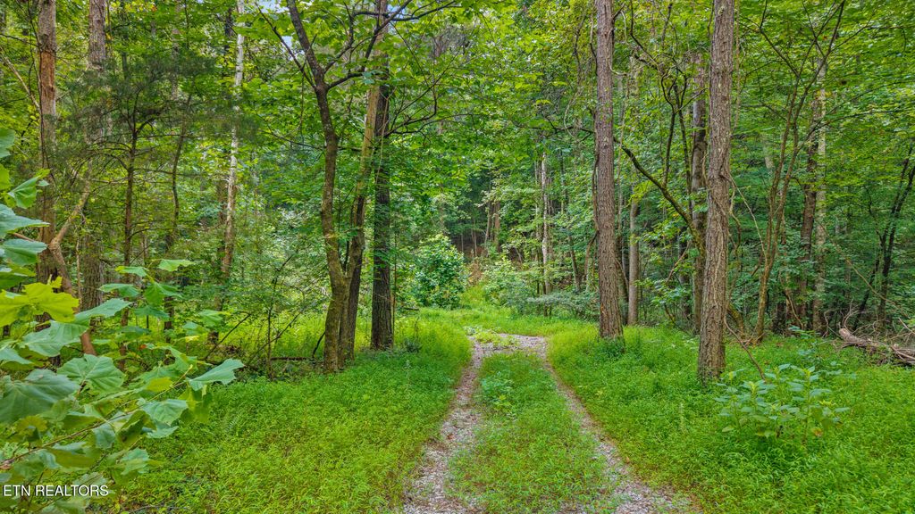 Photo of 506 Butler Rd, Decatur, TN 37322 (MLS # 1311702)