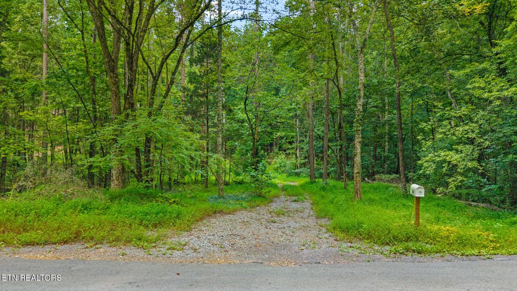 Photo of 506 Butler Rd, Decatur, TN 37322 (MLS # 1311702)