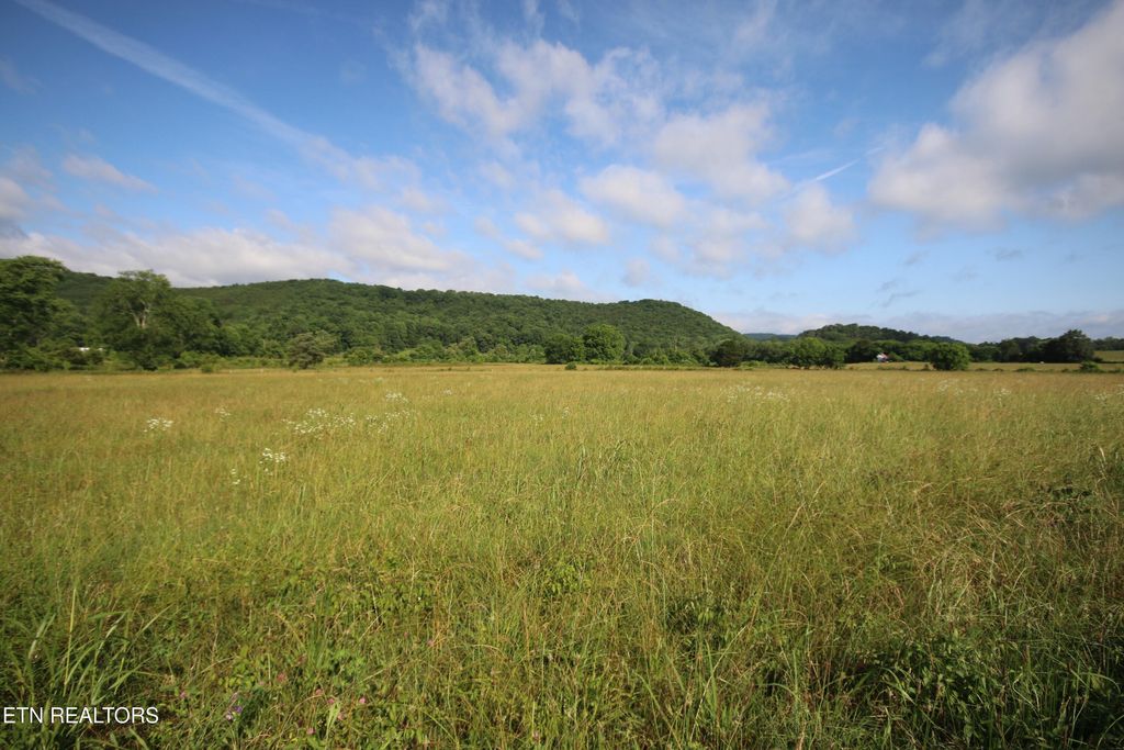 Photo of 110 Bivens Rd., Tellico Plains, TN 37385 (MLS # 1304015)