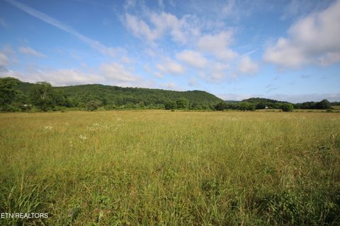 110 Acres Bivens Rd. Tellico Plains TN 37385