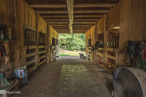 Tiny photo for 1550 Geranium Way, Parrottsville, TN 37843 (MLS # 1346635)