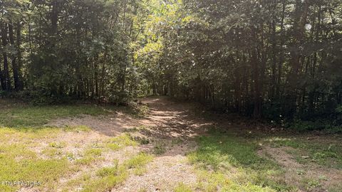 Tiny photo for 1550 Geranium Way, Parrottsville, TN 37843 (MLS # 1346635)