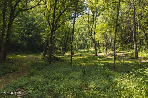 Tiny photo for 1550 Geranium Way, Parrottsville, TN 37843 (MLS # 1346635)