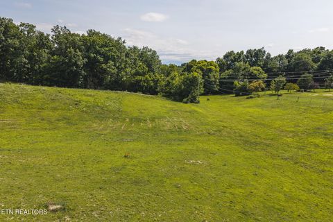 Tiny photo for 1550 Geranium Way, Parrottsville, TN 37843 (MLS # 1346635)
