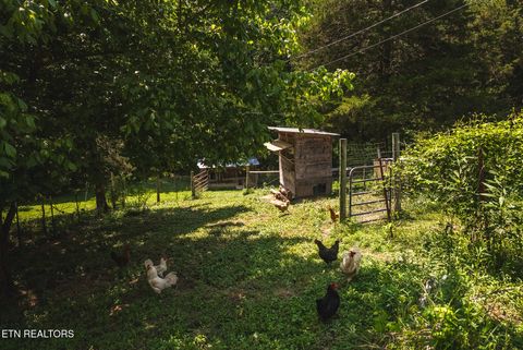 Tiny photo for 1550 Geranium Way, Parrottsville, TN 37843 (MLS # 1346635)