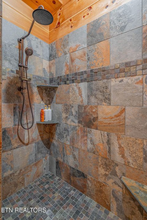 Tiny photo for 635 Eagle Furnace Rd, Rockwood, TN 37854 (MLS # 1319113)