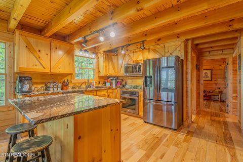 Tiny photo for 635 Eagle Furnace Rd, Rockwood, TN 37854 (MLS # 1319113)