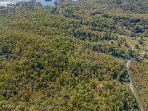 Tiny photo for 635 Eagle Furnace Rd, Rockwood, TN 37854 (MLS # 1319113)