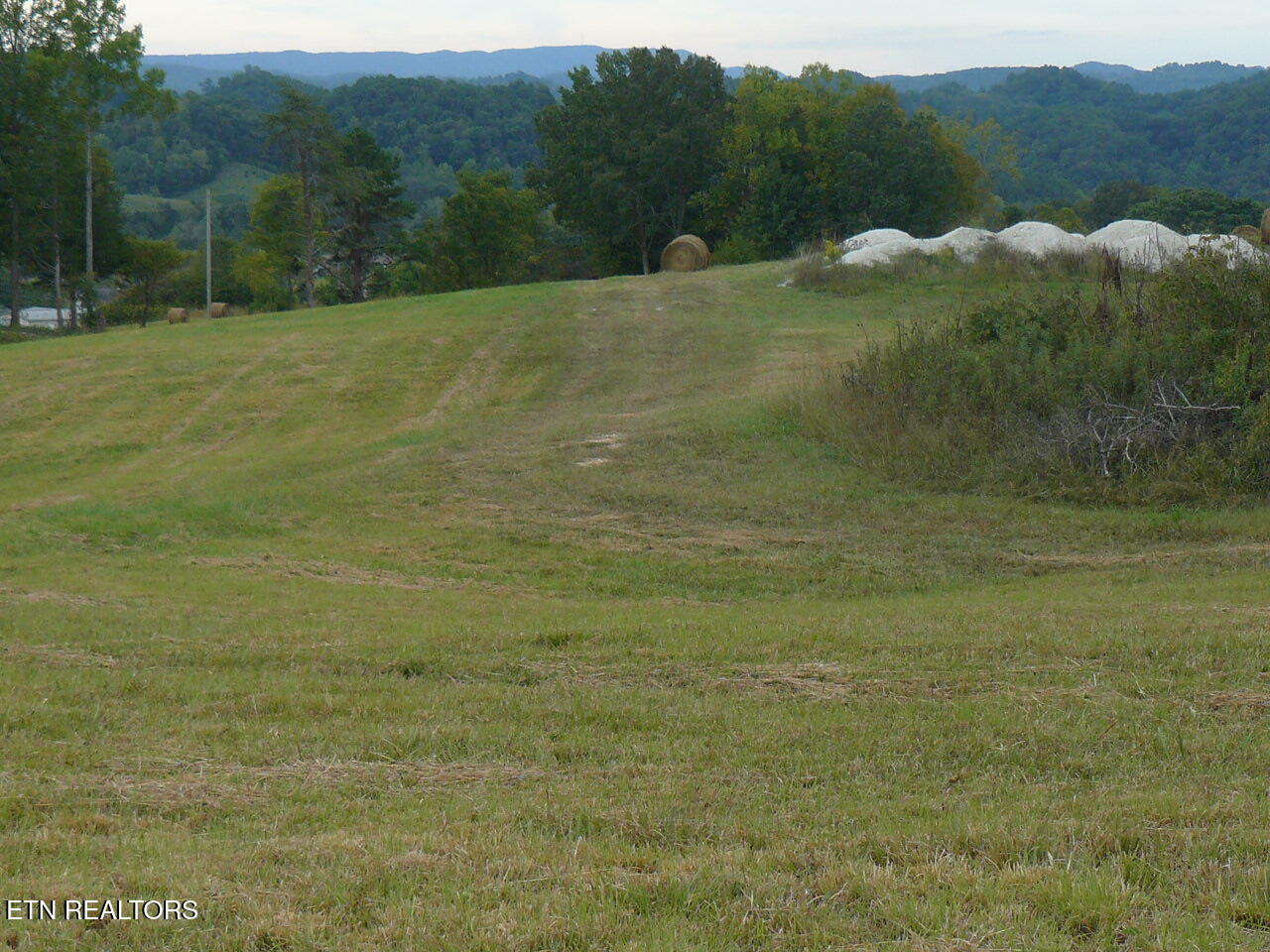 132 Acres Leabow Hollow Rd