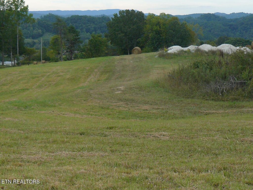 Photo of 132 Leabow Hollow Rd, Tazewell, TN 37879 (MLS # 1298302)