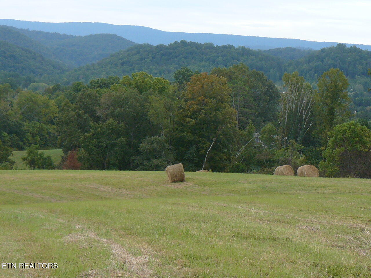 132 Acres Leabow Hollow Rd