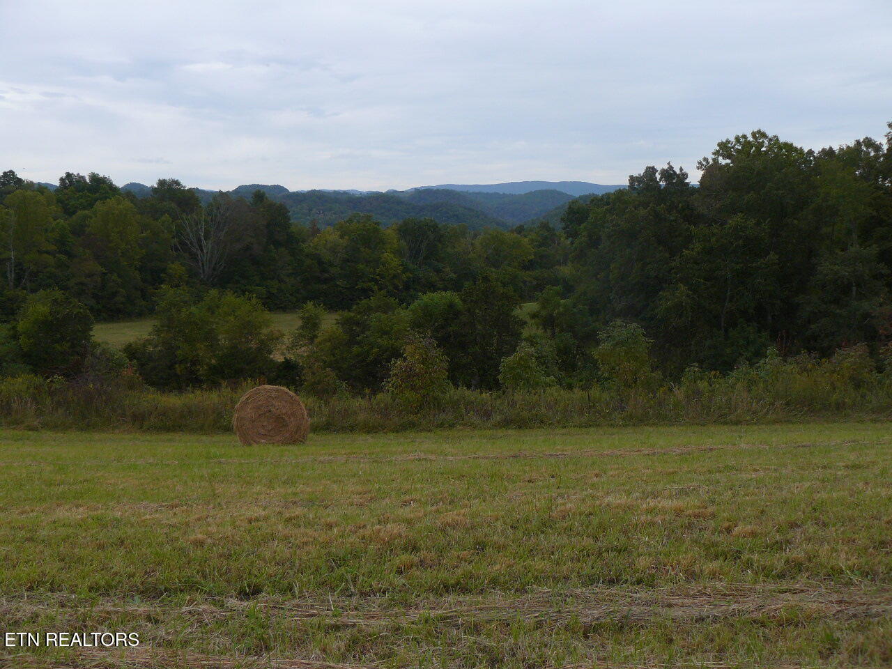 132 Acres Leabow Hollow Rd